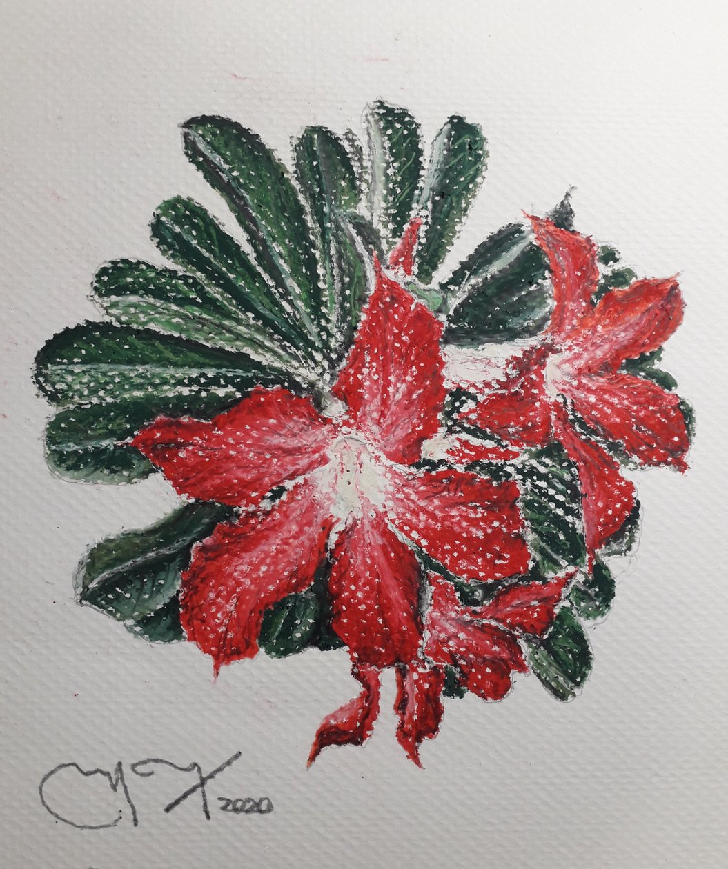 ÖKENBLOMMA av miguelmendez_art.ve