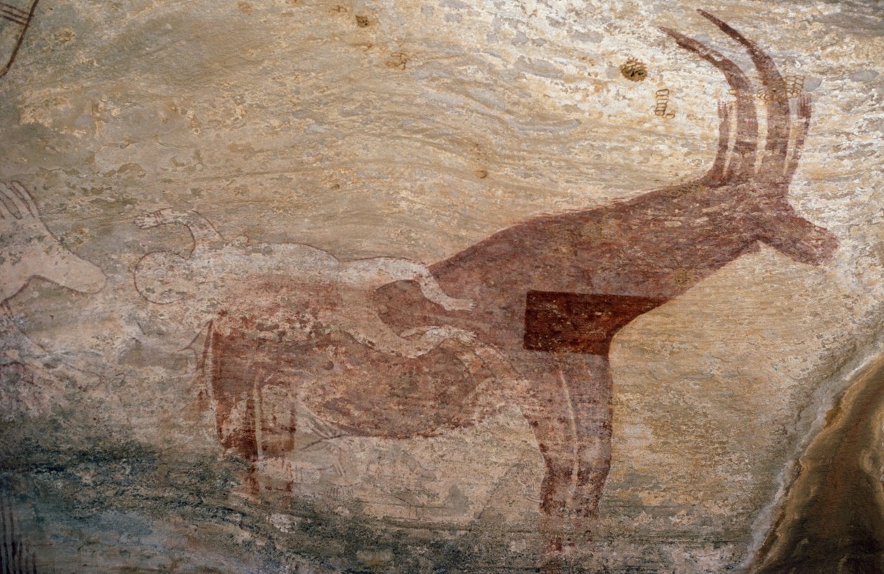 Klövdjur, grottmålning, Sephar, Tassili n