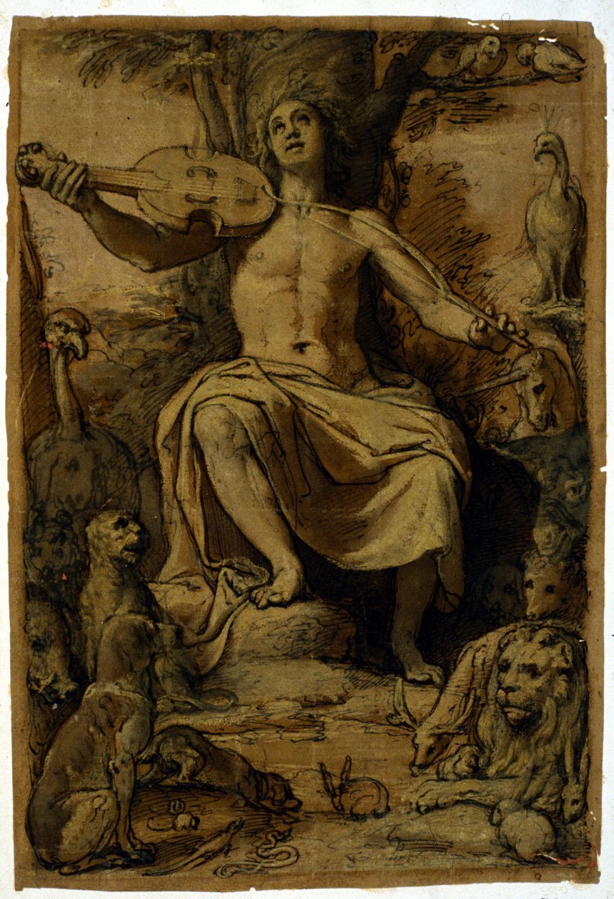 Orpheus förtrollar djuren med musiken från en violin. Teckning av Federico Zuccari (1542 - 1609). av or Zuccaro Federico Zuccari