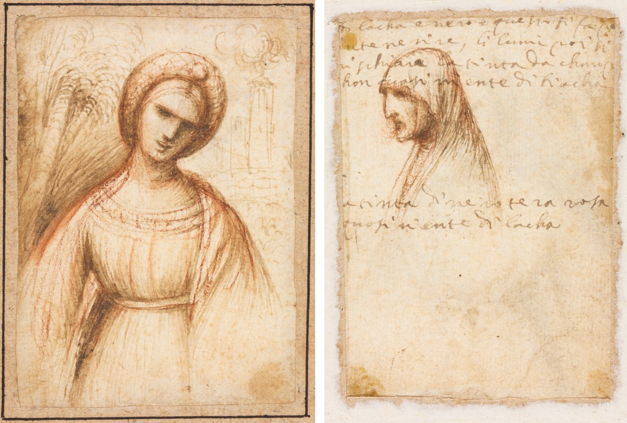 Dam i ett landskap (recto); Bystlängdsprofil av en gammal kvinna (verso) av possibly by Dosso Dossi