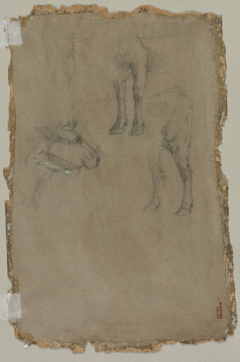 Studier av en tjur (verso) av possibly by Johan Barthold Jongkind