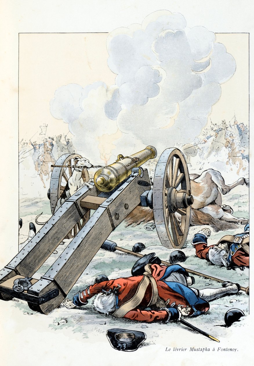 Illustration från boken ”A la gloire des betes”” text av A Fabre, teckningar av Jacques Marie Gaston Onfray de Breville dit JOB (1858-1931), förläggare Maison Alfred Mame et fils: War of the Austrian Succession: the yeast Mustapha in Fontenoy av pseudonym for Onfray de Breville Jacques Job