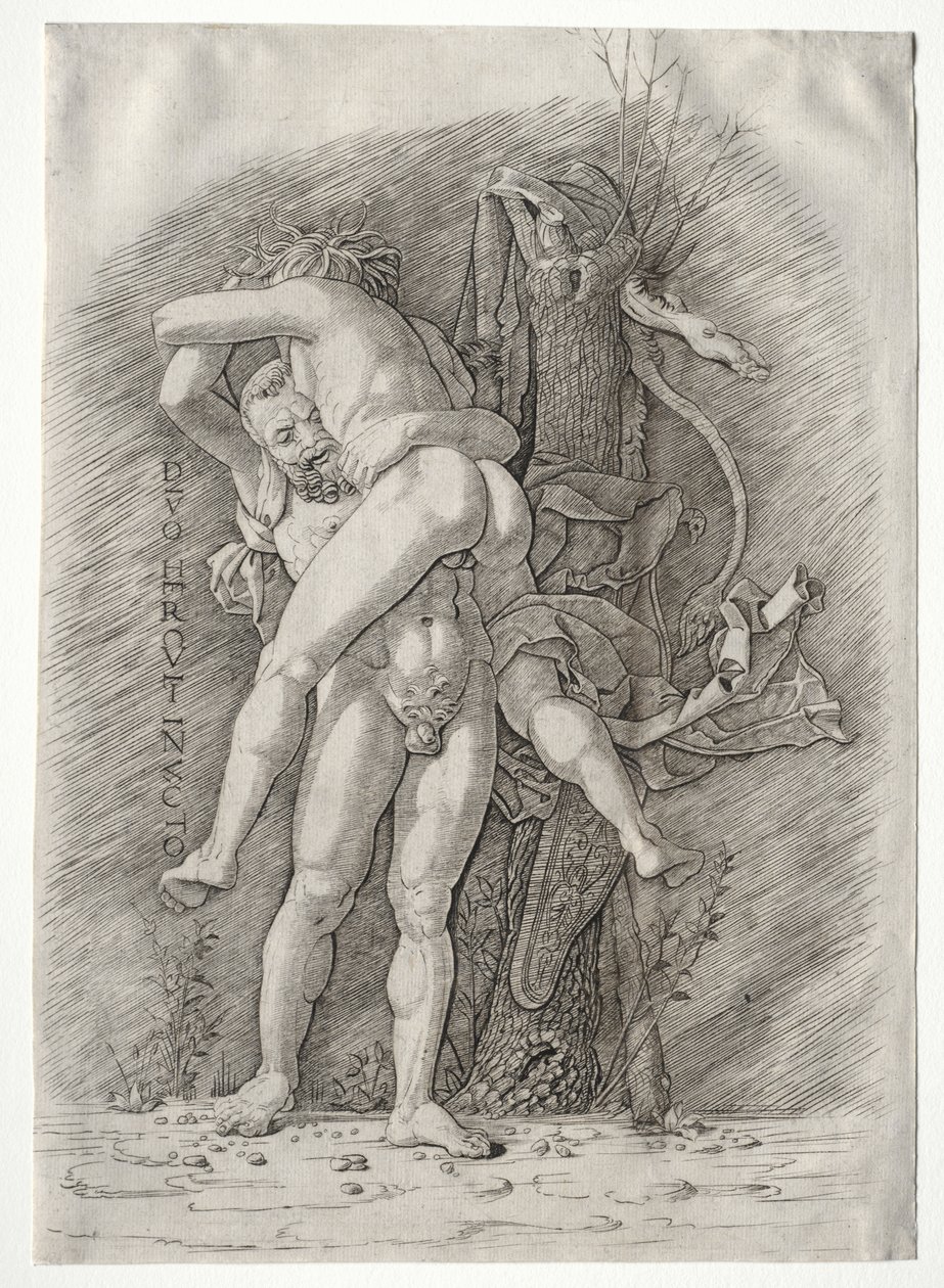 Hercules och Antaeus av school of Andrea Mantegna