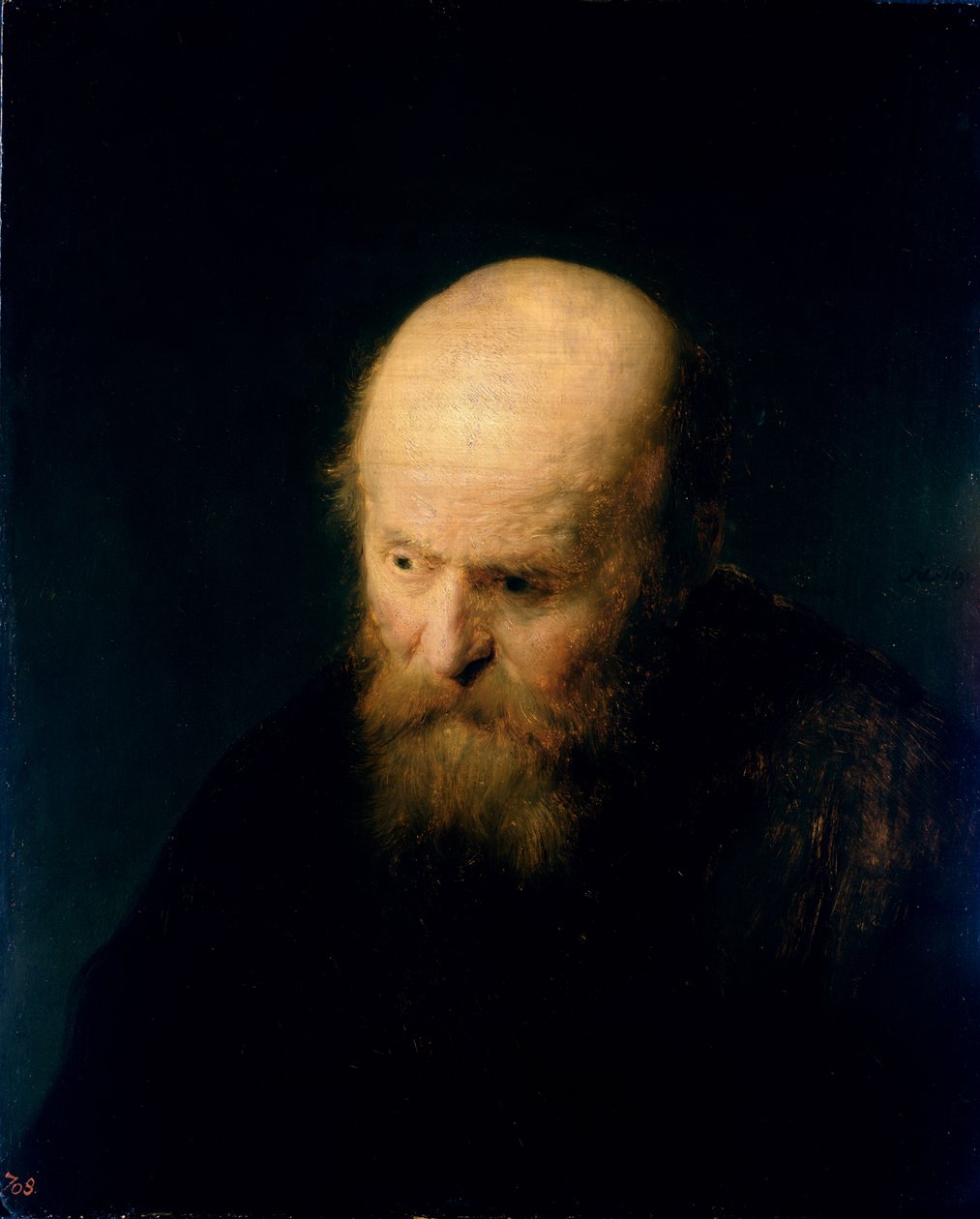 Head of a Bald, Old Man, 1632  av studio of Rembrandt Harmensz. van Rijn