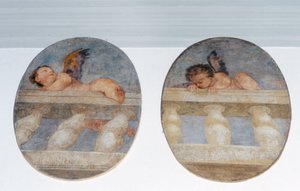 Två bevingade putti klättrar över en balustrad, rundlar från sakristian (fresk) av Veronese