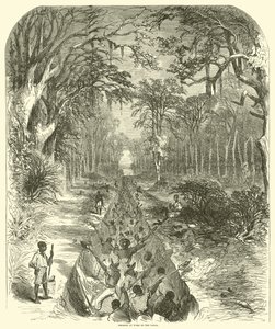 Negrer på jobbet på kanalen, mars 1863 (gravyr)