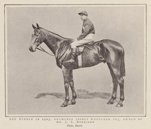 Drumcree, vinnare av Grand National 1903 (svartvitt foto) av (after) English photographer