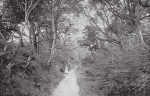Fairlight Glen (svartvitt foto) av (after) English photographer