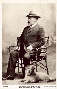 Den avlidne kung Edward VII, med denna favorithund Caesar (s/v foto)