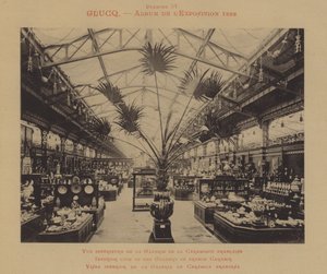 Interiörvy av galleriet med fransk keramik (s/v foto) av (after) French Photographer