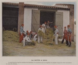 La Botte a Coco (färgad bild) av (after) French Photographer