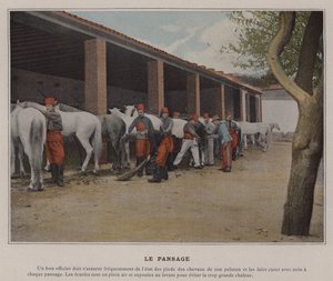 The Grooming (färgad bild) av (after) French Photographer