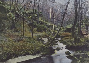 Vaux de Cernay, Les Cascades (färgat foto) av (after) French Photographer