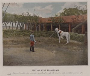 Vaulting with the Surcingle (färgad bild) av (after) French Photographer