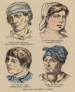 Solens och det geografiska lägets inverkan på människor (kolorerad gravyr) av (after) French School