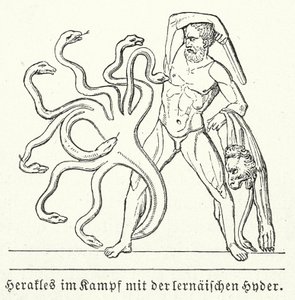 Herakles i kamp mot den lernska hydran (gravyr) av (after) German School