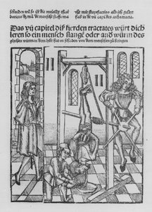 The Book of Cirurgia av Hieronymus Brunschwig (litho)