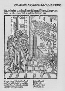The Book of Cirurgia av Hieronymus Brunschwig (litho)
