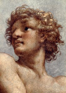 Vision of St John Evangelist on Patmos, Ascension of Christ among Apostles, or Christ in Glory av Antonio Allegri, känd som Correggio (1489-ca 1534), fresk, 966x888 cm diameter vid basen, detalj, Church of St John Evangelist, kupol, Parma