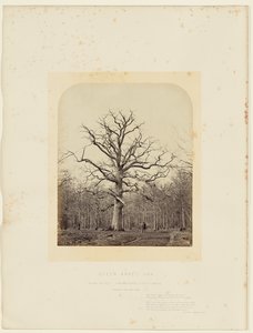 Drottning Annes ek av 14th Earl of Caithness James Sinclair