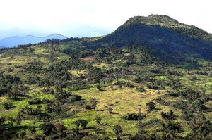Cebu Hills av Detlef B. Fischer