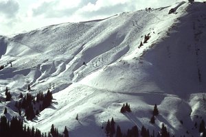 Snöig sluttning av Detlef B. Fischer