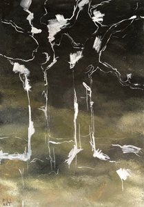 Birken in der Dunkelheit