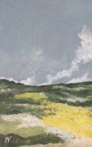 Felder mit gelben Blumen 1