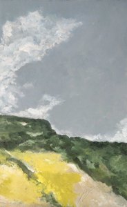 Felder mit gelben Blumen 2