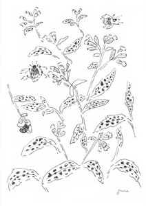 Undersökning om humlor och vildblommor av june art