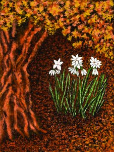 Herbstblumen