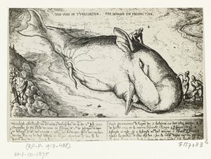 Tryck av den spolade valen nära Antwerpen, 2 juli 1577 av A.B. van Deinse