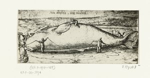 Tryck av den spolade valen nära Antwerpen, 2 juli 1577 av A.B. van Deinse