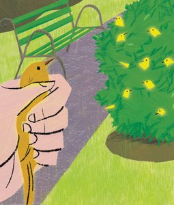 En fågel i handen..., 2016
