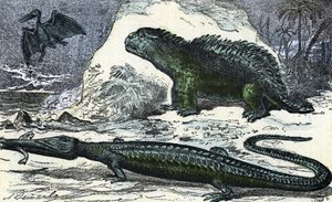 Förhistoria: representation av en teleosaurie (förlängning av nospartiet) och en hyleosaurie från juraperioden" (Förhistoria, jura: teleosaurus och hylaeosaurus) Gravyr från "" Nature and Man"" av Rengade 1881 Privat samling