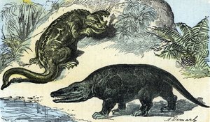 Förhistoria: representation av en iguanodon och megalosaurus från kritaperioden
