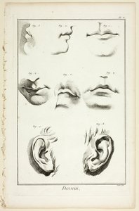 Design: Facial Anatomy från Encyclopédie