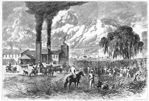 Sockerplantage, New Orleans, 1870. av A. R. Ward