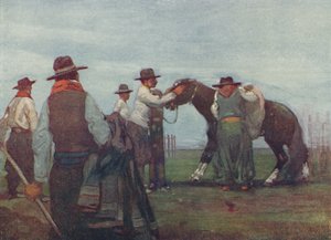 Gauchos bryter in en ung häst, 1916 av A. S. Forrest