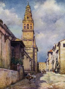 Cordova, Calle Cardinal Herrera (färg litho)
