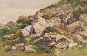 Studie av stenar på norra sidan av Taliaris, nära Llandilo, södra Wales (chromolitho) av Aaron Edwin Penley