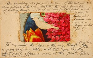 Bird Stencil, studiemapp till boken Concealing Coloration in the Animal Kingdom av Abbott Handerson Thayer