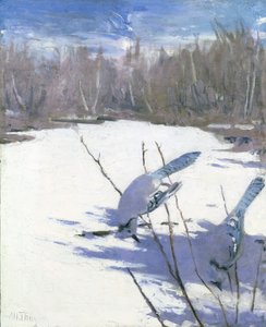 Blue Jays in Winter, studie för boken Concealing Coloration in the Animal Kingdom, ca. 1905-1909. av Abbott Handerson Thayer