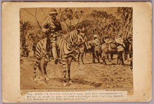 Horse and Cruiser Camouflaged, studiemapp till boken Concealing Coloration in the Animal Kingdom av Abbott Handerson Thayer