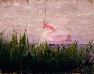 Roseate Spoonbill, studie för boken Concealing Coloration in the Animal Kingdom (dolda färger i djurriket) av Abbott Handerson Thayer