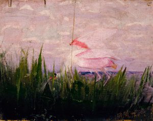 Roseate Spoonbill, studie för boken Concealing Coloration in the Animal Kingdom, ca. 1905-1909. av Abbott Handerson Thayer