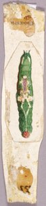 White Birch Leaf Edge Caterpillar, studie för boken Concealing Coloration in the Animal Kingdom. av Abbott Handerson Thayer