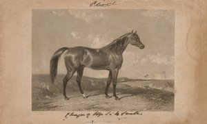 "Aliwal, Sir Harry Smiths, Barts egendom" (litografi) av Abraham (after) Cooper