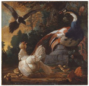 En påfågel, fjäderfä och en skata i ett landskap, 1720 av Abraham Bisschop