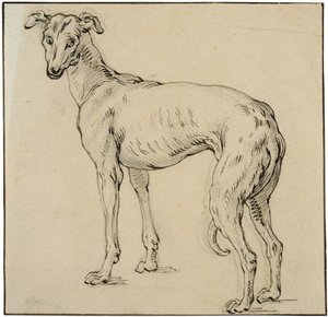 Vinthund av Abraham Bloemaert